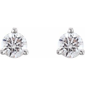 14K White 1/3 CTW Natural Diamond Earrings - BN & CO JEWELRY