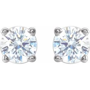 14K White 1/3 CTW Natural Diamond Stud Earrings with Friction Post - BN & CO JEWELRY