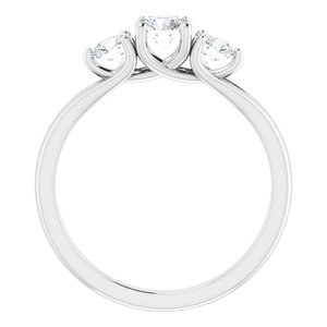 Platinum 3/4 CTW Diamond Three-Stone Engagement Ring - BN & CO JEWELRY