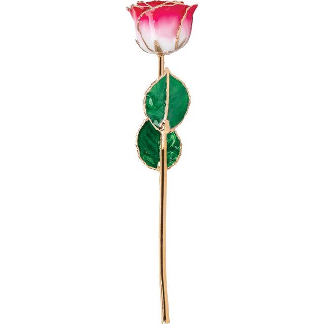 Lacquered Cream Red Rose with Gold Trim - BN & CO JEWELRY