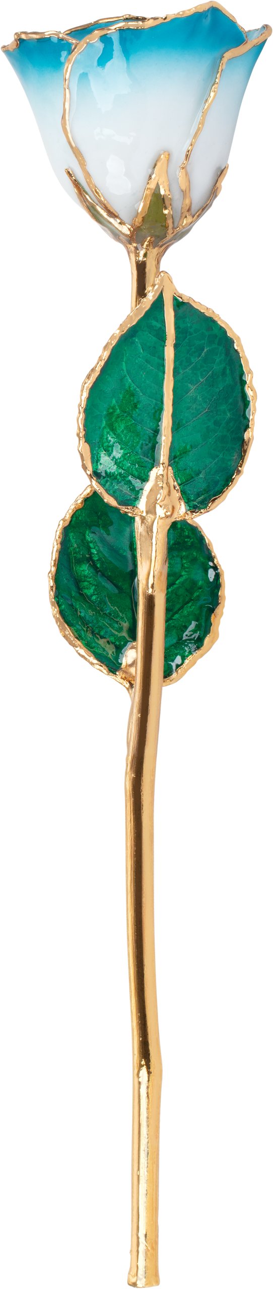 Lacquered Cream Turquoise Rose with Gold Trim - BN & CO JEWELRY