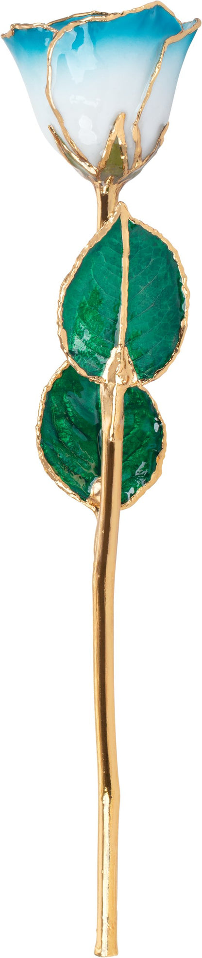 Lacquered Cream Turquoise Rose with Gold Trim - BN & CO JEWELRY