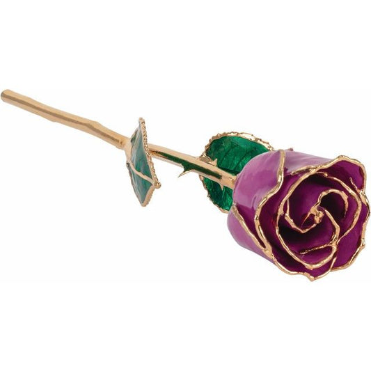 Lacquered Amethyst Colored Rose with Gold Trim - BN & CO JEWELRY