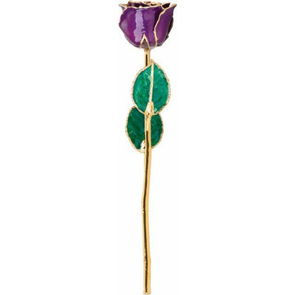 Lacquered Purple Rose with Gold Trim - BN & CO JEWELRY