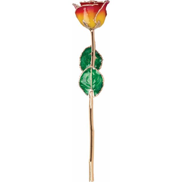 Lacquered Sunset Yellow & Red Rose with Gold Trim - BN & CO JEWELRY