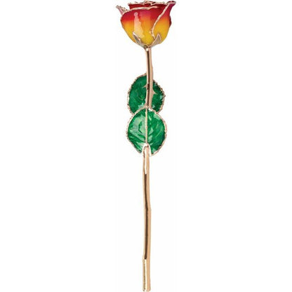 Lacquered Sunset Yellow & Red Rose with Gold Trim - BN & CO JEWELRY