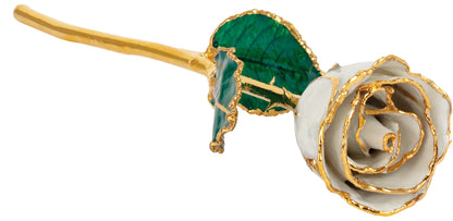 Lacquered June Pearl Colored Rose with Gold Trim - BN & CO JEWELRY