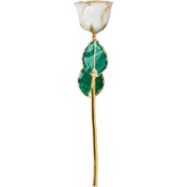 Lacquered June Pearl Colored Rose with Gold Trim - BN & CO JEWELRY