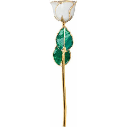 Lacquered June Pearl Colored Rose with Gold Trim - BN & CO JEWELRY