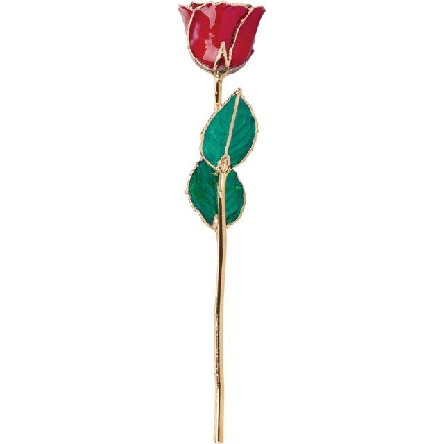 Lacquered July Ruby Colored Rose with Gold Trim - BN & CO JEWELRY