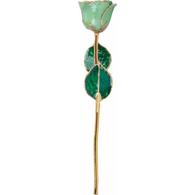 Lacquered August Peridot Colored Rose with Gold Trim - BN & CO JEWELRY