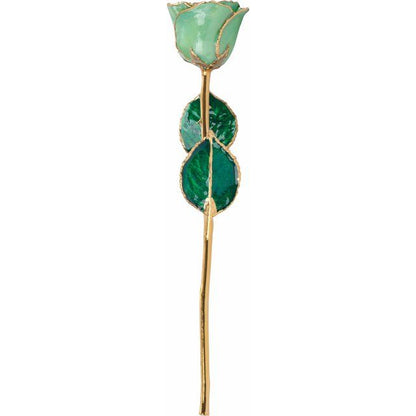 Lacquered August Peridot Colored Rose with Gold Trim - BN & CO JEWELRY