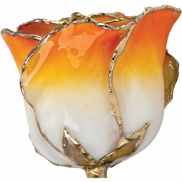 Lacquered Cream Orange Rose with Gold Trim - BN & CO JEWELRY