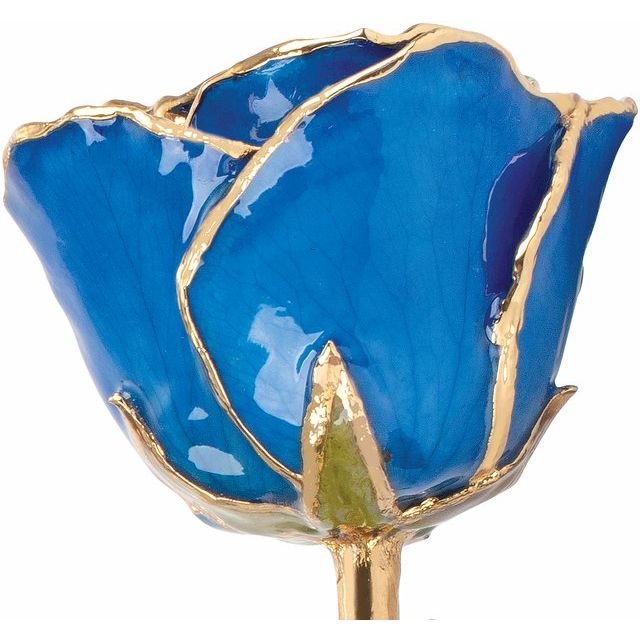 Lacquered September Blue Sapphire Colored Rose with Gold Trim - BN & CO JEWELRY