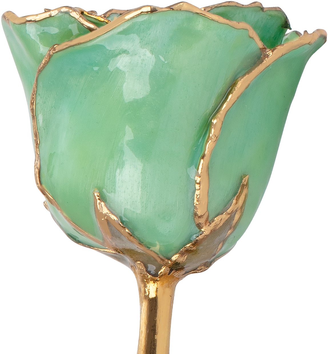 Lacquered August Peridot Colored Rose with Gold Trim - BN & CO JEWELRY