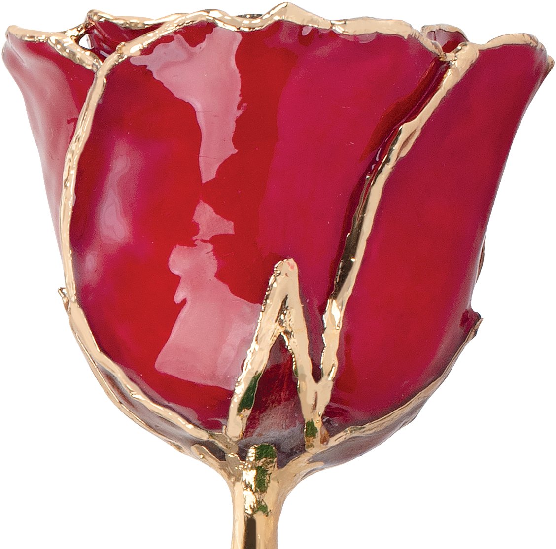 Lacquered July Ruby Colored Rose with Gold Trim - BN & CO JEWELRY