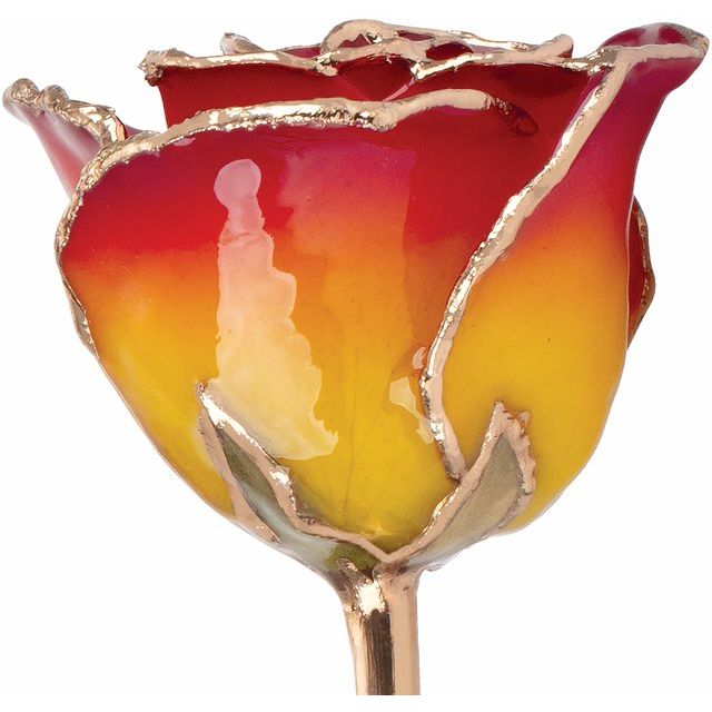 Lacquered Sunset Yellow & Red Rose with Gold Trim - BN & CO JEWELRY