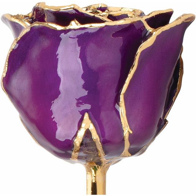 Lacquered Purple Rose with Gold Trim - BN & CO JEWELRY