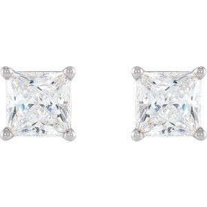 14K White 1/2 CTW Natural Diamond Friction Post Earrings - BN & CO JEWELRY
