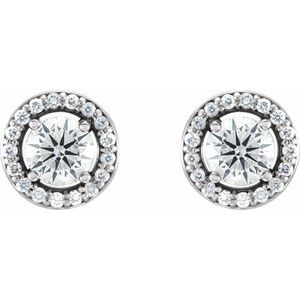 14K White 1/2 CTW Natural Diamond Halo-Style Earrings - BN & CO JEWELRY