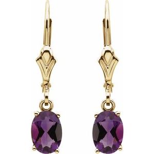 14K Yellow Amethyst Earrings - BN & CO JEWELRY