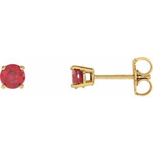 14K Yellow 4 mm Lab-Grown Ruby Stud Earrings with Friction Post - BN & CO JEWELRY