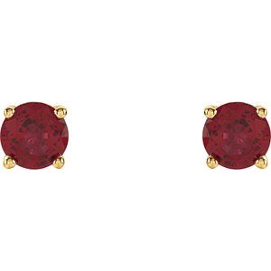 14K Yellow 4 mm Lab-Grown Ruby Stud Earrings with Friction Post - BN & CO JEWELRY