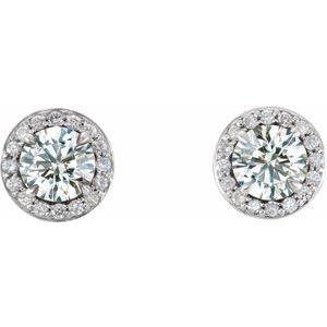 14K White 1 CTW Natural Diamond Halo-Style Earrings - BN & CO JEWELRY