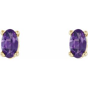 14K Yellow Natural Amethyst Earrings - BN & CO JEWELRY