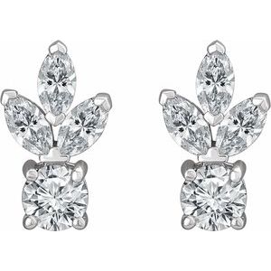 Sterling Silver Cubic Zirconia Earrings - BN & CO JEWELRY