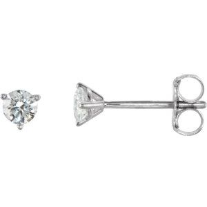 14K White 1/4 CTW Natural Diamond Stud Earrings - BN & CO JEWELRY