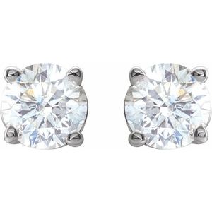 14K White 1/2 CTW Natural Diamond Stud Earrings with Friction Post - BN & CO JEWELRY