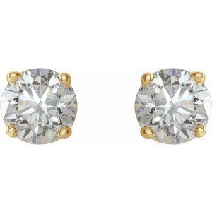 14K Yellow 3/4 CTW Natural Diamond Stud Earrings with Friction Post - BN & CO JEWELRY