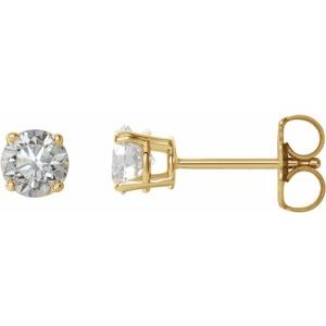 14K Yellow 3/4 CTW Natural Diamond Stud Earrings with Friction Post - BN & CO JEWELRY
