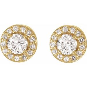14K Yellow 5/8 CTW Natural Diamond Halo-Style Earrings - BN & CO JEWELRY