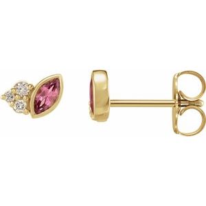 14K Yellow Natural Pink Tourmaline & .05 CTW Natural Diamond Earrings - BN & CO JEWELRY