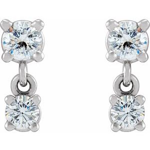 14K White 1/3 CTW Natural Diamond Two-Stone Earrings - BN & CO JEWELRY