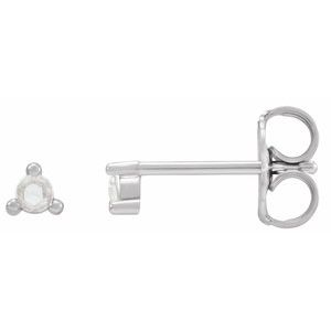 14K White .04 CTW Rose-Cut Natural Daimond Earrings - BN & CO JEWELRY