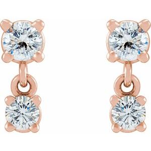 14K Rose 1/3 CTW Natural Diamond Two-Stone Earrings - BN & CO JEWELRY