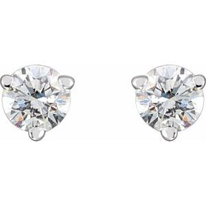 14K White 1/4 CTW Natural Diamond Friction Post Earrings - BN & CO JEWELRY