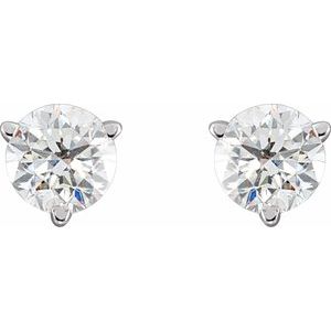 14K White 3/4 CTW Natural Diamond Friction Post Earrings - BN & CO JEWELRY