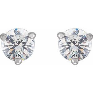 14K White 1/3 CTW Natural Diamond Friction Post Earrings - BN & CO JEWELRY