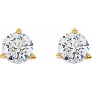 14K Yellow 1/3 CTW Natural Diamond Stud Earrings - BN & CO JEWELRY