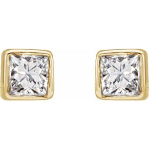 14K Yellow .05 CTW Natural Diamond Bezel-Set Earrings - BN & CO JEWELRY
