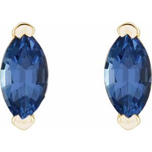 14K Yellow Natural Tanzanite Earrings - BN & CO JEWELRY