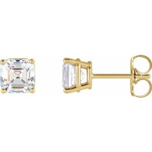 14K Yellow 1/3 CTW Natural Diamond Earrings - BN & CO JEWELRY